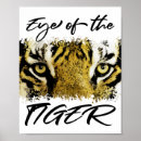 Search for tiger eyes posters Nature