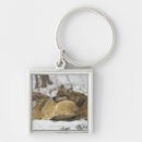 Search for the quarter key rings Horizontal