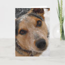 Search for australian cattle dogs christmas cards Cute