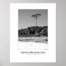 Search for islander posters Palm trees