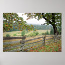 Search for old fence posters Field