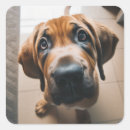 Search for medium size stickers Puppy