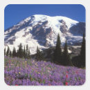 Search for mount stickers Summit