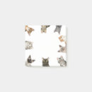 Search for funny cat post it notes Kitten