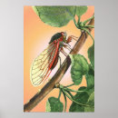 Search for insect posters Wildlife
