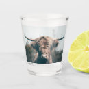 Search for cow shot glasses Scotland