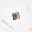 Search for balancing stickers Animal