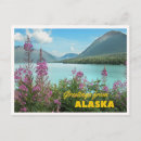 Search for cruise postcards Souvenir