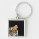 Search for roaring key rings Nature