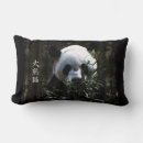 Search for giant panda cushions Pandas