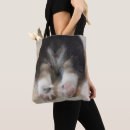 Search for pembroke welsh corgi tote bags Cute