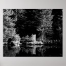 Search for tree stump art Photography