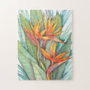 Search for tropical birds puzzles Botanical