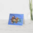 Search for duck cards Encouragement
