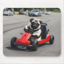 Search for pug electronics Animal