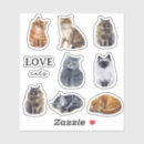Search for white kitten stickers Illustration