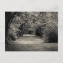 Search for forest path photography Hiking