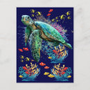 Search for coral reef life postcards Ocean