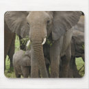 Search for tanzania mousepads Adam jones