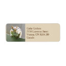 Search for chipmunk return address labels Funny