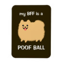 Search for my dog magnets Pets
