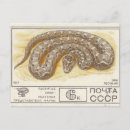Search for vintage snake postcards Animal