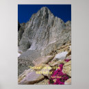 Search for john muir quote posters The mountains are calling