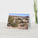 Search for cave cards Photography