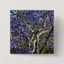 Search for blooming tree badges Blossom