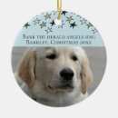 Search for bark christmas tree decorations Dog