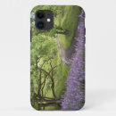 Search for rf cases Usa