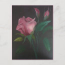Search for budding postcards Roses