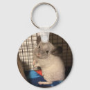 Search for chinchilla key rings Adorable