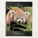 Search for kawaii panda office supplies Animal