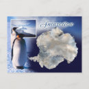 Search for penguin postcards Iceberg