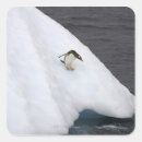 Search for gentoo stickers Penguins