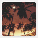 Search for polynesia stickers Palm tree
