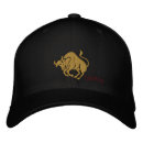 Search for taurus hats Astronomy