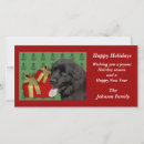 Search for newfoundland dog christmas cards Cute