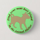 Search for pounds badges Shelter