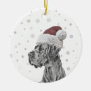 Search for elegant pet memorial ornaments Modern