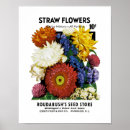 Search for vintage seed packets posters Garden