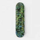 Search for serene skateboards Green