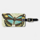 Search for bug collage accessories Blue