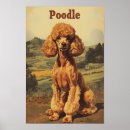 Search for vintage poodle posters Dog
