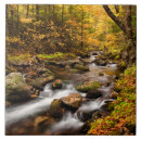 Search for new hampshire coasters Foliage
