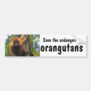 Search for endangered animals bumper stickers Conservation