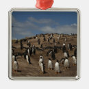 Search for penguin christmas tree decorations Coast