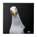 Search for ocean life tiles Portrait
