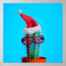 Search for christmas cactus posters Xmas